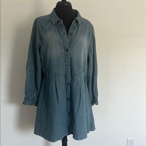 Versona Denim Button-Up Dress